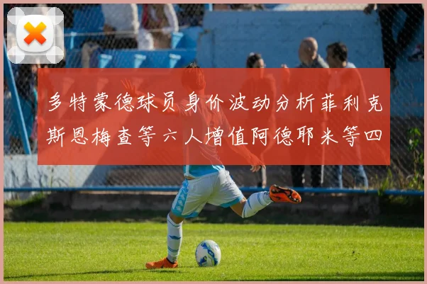 多特蒙德球员身价波动分析菲利克斯恩梅查等六人增值阿德耶米等四人贬值