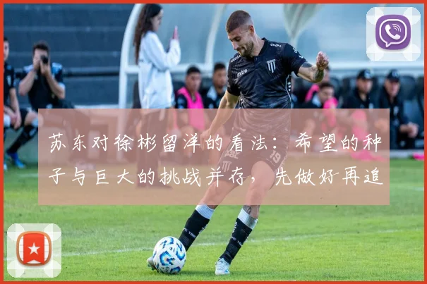 苏东对徐彬留洋的看法：希望的种子与巨大的挑战并存，先做好再追求完美