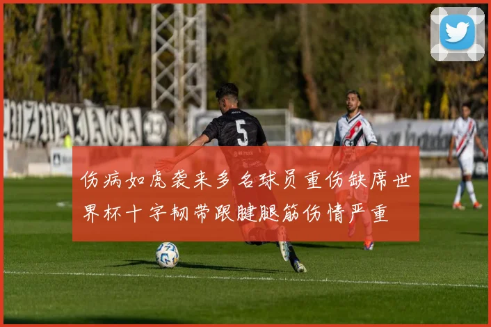 伤病如虎袭来多名球员重伤缺席世界杯十字韧带跟腱腿筋伤情严重